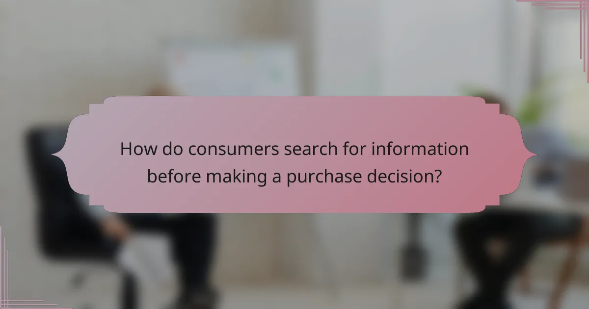 How do consumers search for information before making a purchase decision?