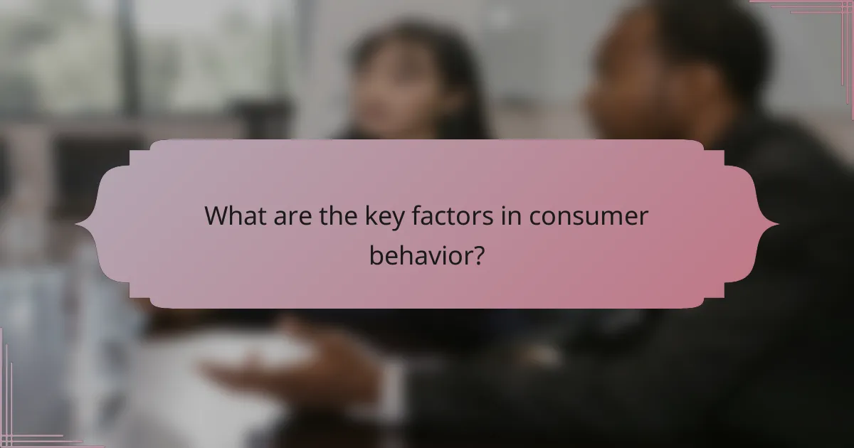 What are the key factors in consumer behavior?